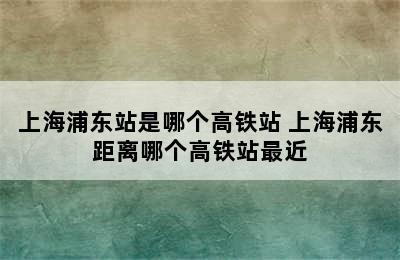 上海浦东站是哪个高铁站 上海浦东距离哪个高铁站最近